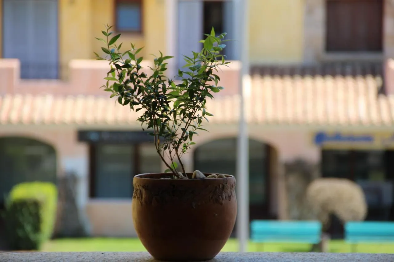 Appartamento Le Vele Porto San Paolo  Italy